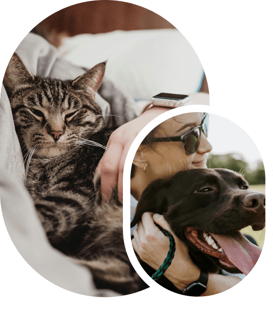 Booking illustration