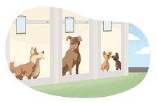 hôtel - pension icon