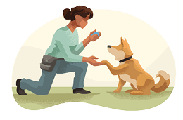 educateur - comportementaliste icon