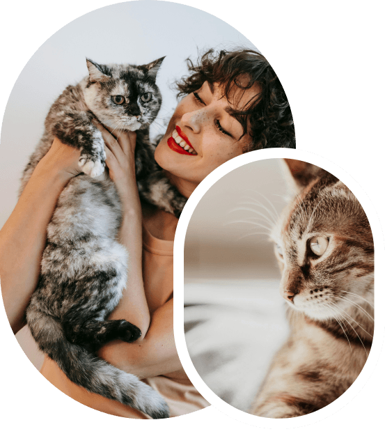 Pet Sitter avec chat