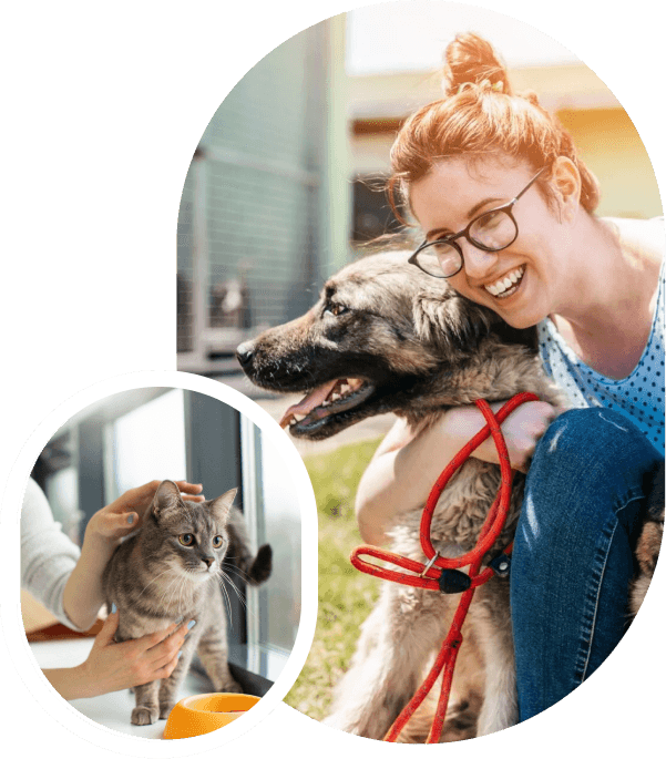 Professional dashboard illustration